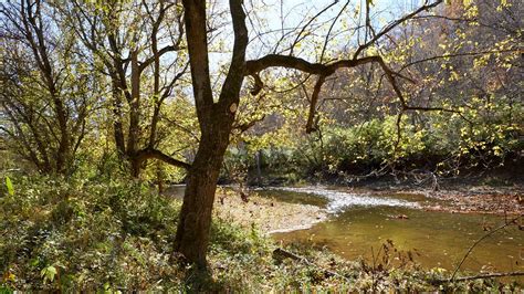 The Strand Loop The Parklands Of Floyds Fork