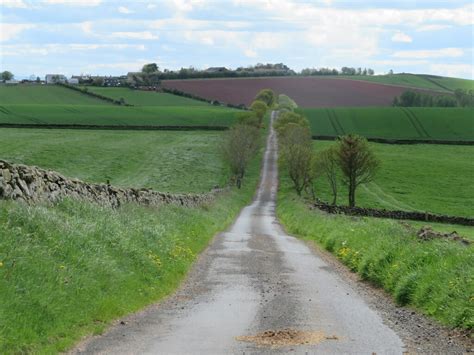 Tree Lined Road Near Rumbletonlaw M J Richardson Geograph Britain