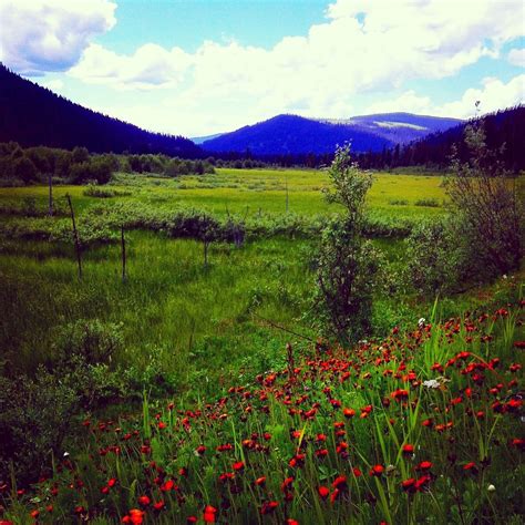 Peaceful Field In Northern Bc Travel Beautiful Landscapes All