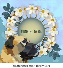 3,034 Thinking You Flowers Images, Stock Photos & Vectors | Shutterstock