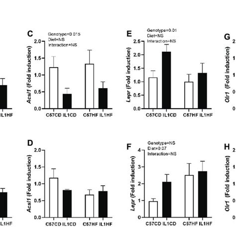 Gene Expression Of Lipid Metabolism Markers In Adipose Tissue