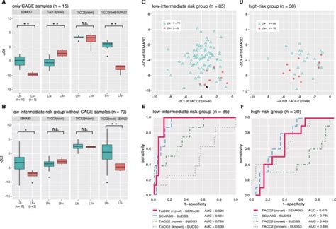 Promoter Level Transcriptome In Primary Lesions Of Endometrial Cancer