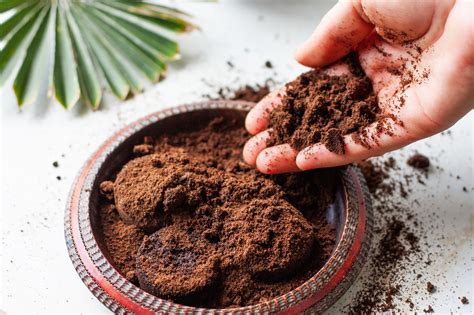 Transformez Vos D Chets De Caf En Tr Sors La Maison Et Au Jardin