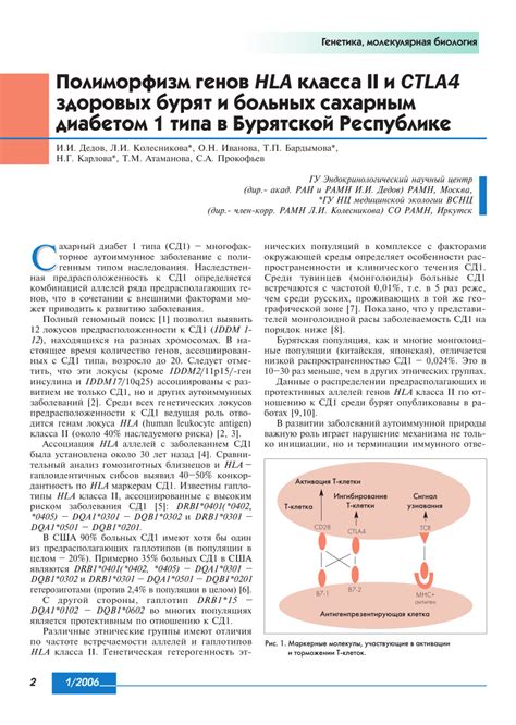 Pdf Polimorfizm Genov Hla Klassa Ii I Ctla4zdorovykh Buryat I Bol Nykh Sakharnymdiabetom 1