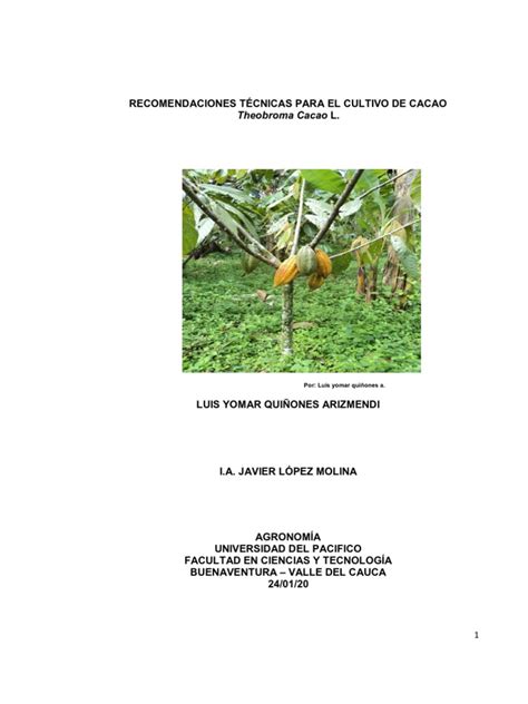 Pdf Recomendaciones TÉcnicas Para El Cultivo De Cacao Dokumen Tips