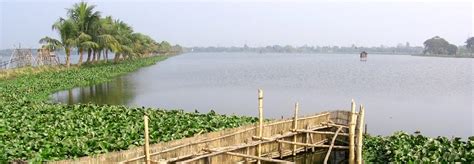 East Kolkata Wetlands Is The Worlds Largest Organic Sewage Management