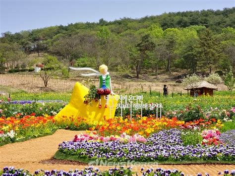 화려한 폐막과 함께 일주일 연장된 화순고인돌 축제