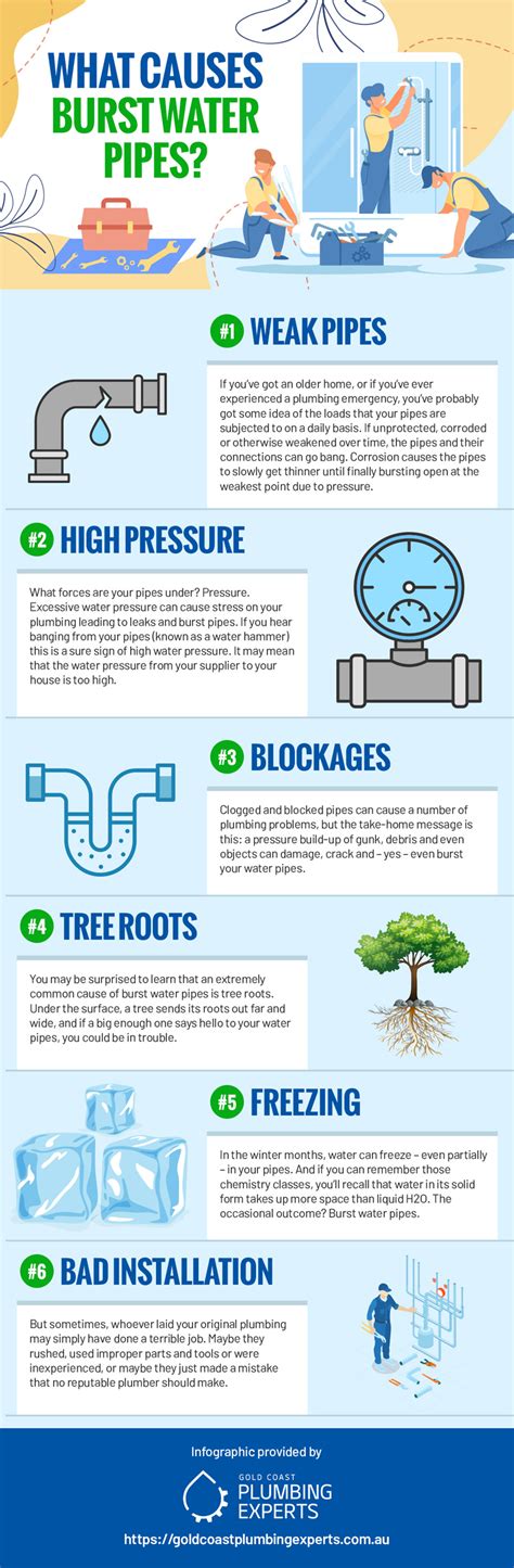 The Common Causes Of Burst Water Pipes InfographicBee