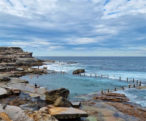 Maroubra Rock Pool Wildlife Den South African And Australian