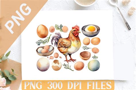 Watercolor Chicken Egg Png Clipart Graphic By Design Store · Creative