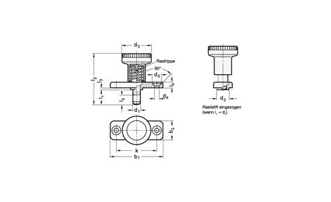 Gn Ganter Edelstahl Rastbolzen Mit Rastsperre