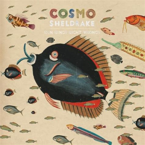 Cosmo Sheldrake Run Rings Right Wrongs Lyrics Genius Lyrics