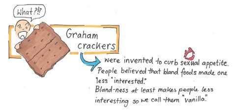 Seize The Absurd Breakfast Of Champions All About Graham Crackers