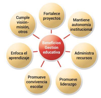 Manual De Proyectos De Gesti N Educativa