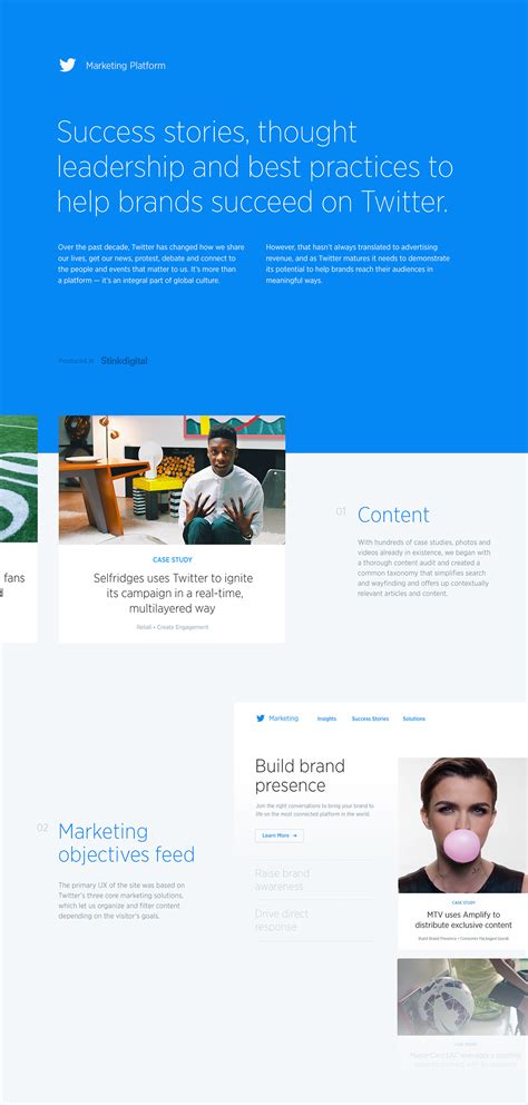 Twitter Marketing Platform :: Behance