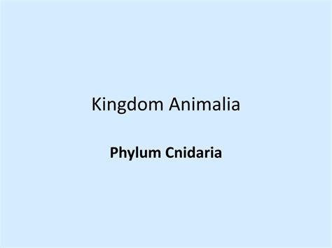 Ppt Introduction To Kingdom Animalia Powerpoint Presentation Free