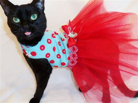 Cat Clothes Retro Red And Turquoise Polkadot Tutu Cat Dress With ...