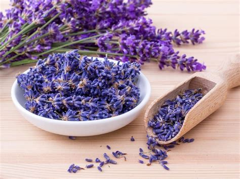 Descobrir Imagen Aromatizante De Lavanda Natural Br Thptnganamst