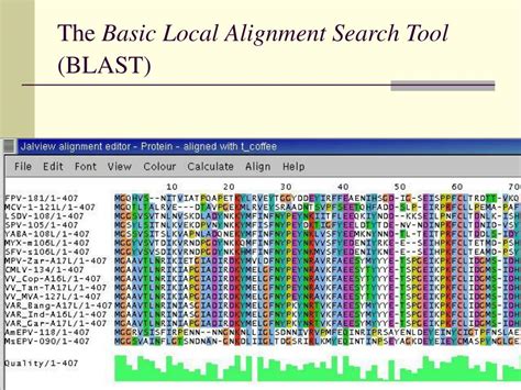 Ppt The Basic Local Alignment Search Tool Blast Powerpoint