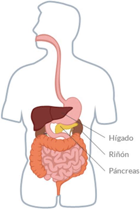 Insulina Instituto Nacional Del Diabetico