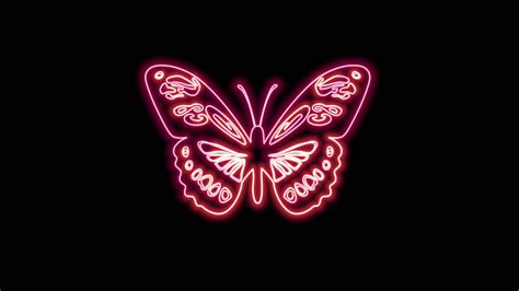 butterfly neon effect 27119296 Stock Video at Vecteezy