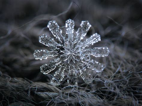 29 Incredible Close Ups Of Snowflakes Shot With A Homemade Camera Rig