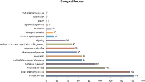 Gene Ontology GO Biological Process Analysis Of The Differentially