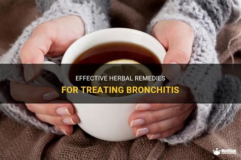 Effective Herbal Remedies For Treating Bronchitis Medshun