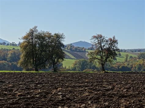 Wanderung Bei Ettlingen Spessart Schwarzwald Tourismus Gmbh