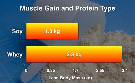 Whey Or Soy Protein Is One Better