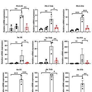 Pancreatic Mrna Expression Of Proinflammatory Cytokines Interleukin