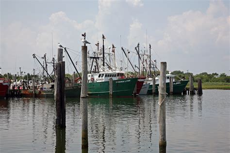 Lbi Fishing Commerical These Boats Collectively Contribute Flickr