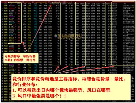 【通达信竞价系统】竞价擒龙神器，竞价版面、自动选股、强弱排序、盘前盘中盘后一网打尽 金指标研习社