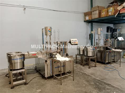 Double Head Cap Wad Inserting Machine Manufacturer & Supplier India ...