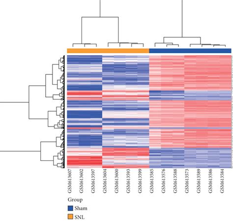 Data Preprocessing And Differential Gene Expression Analysis A Download Scientific Diagram