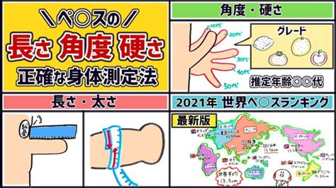 亀頭を増大させる方法はあるの？バイテラでカリ高ペニスを目指そう！｜江口研究所