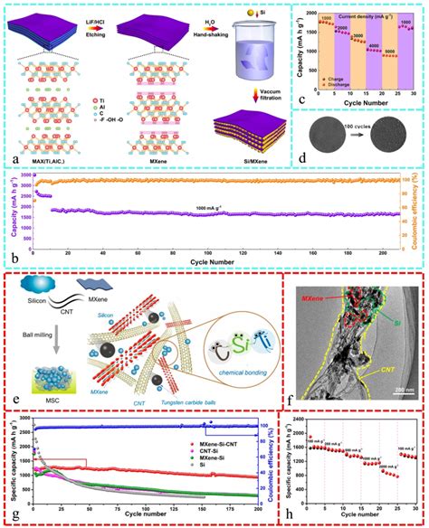 科学网ICM综述 东华大学杨建平教授团队锂离子电池硅基负极材料研究进展与挑战 孔景的博文