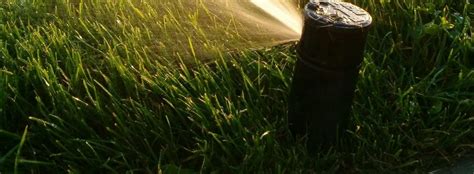 Best Times To Water Your Lawn In Erie Pa Aesthetic Turf Solutions