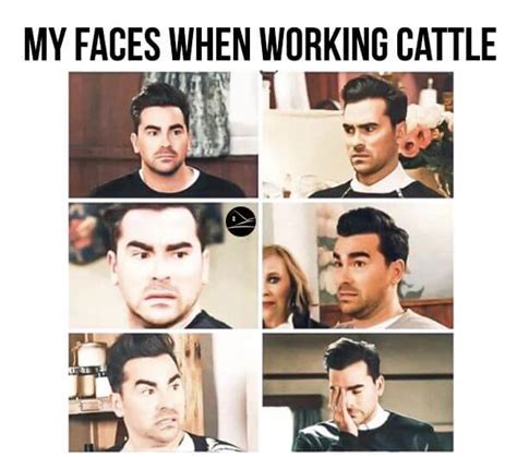 The Faces I Make When Working Cattle Ranch House Designs Inc