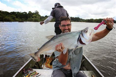 D Heaps Fishing Adventures A Good Day Fi We Essequibo River Guyana 2014
