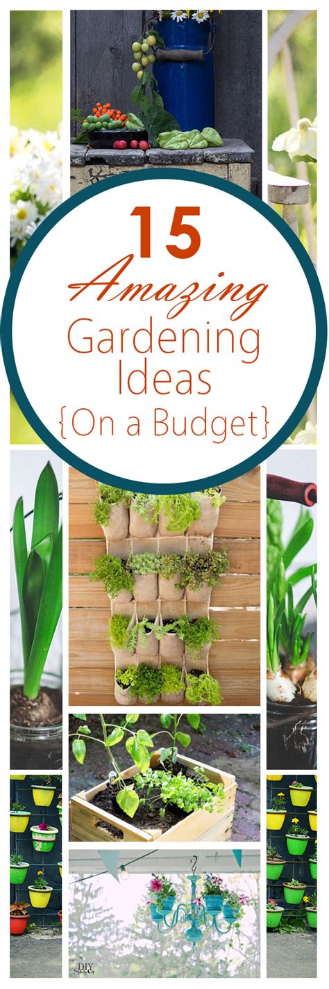 15 Amazing Budget Gardening Ideas Bees And Roses Gardening Tips And