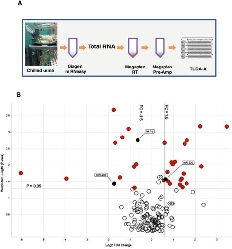 Mirna Expression Profiling Using Taqman Qrt Pcr Reveals Several