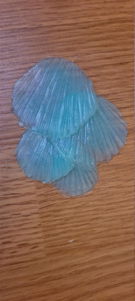 Silicone Mermaid Scales Medium Size Etsy