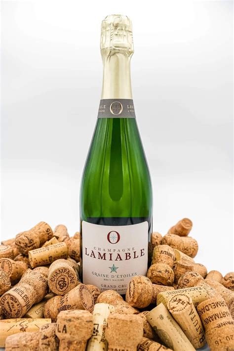 LAMIABLE Graine D Etoiles Brut Nature Grand Cru MAGNUM House Of