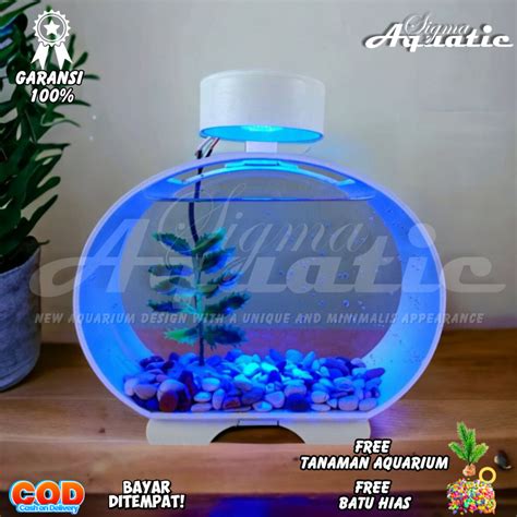 Jual Aquarium Akuarium Mini Soliter Ikan Cupang Ikan Hias Plus Batu