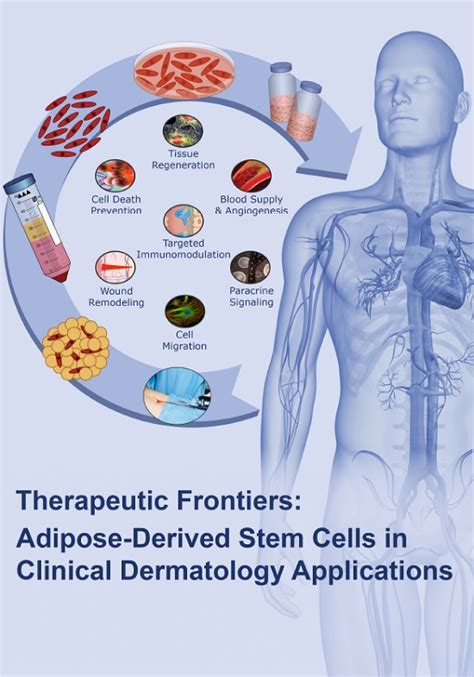 Ijms Free Full Text Mesenchymal Stem Cells From Adipose Tissue In