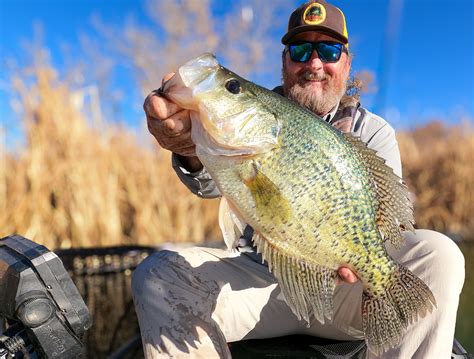 Kayak Angler Catches New State Record Crappie With Forward Facing Sonar