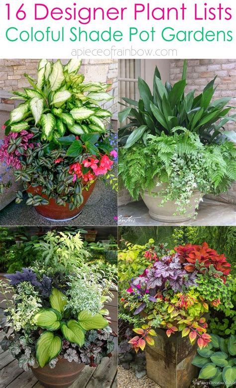 16 Colorful Shade Garden Pots And Plant Lists Garden Plant Pots Potted