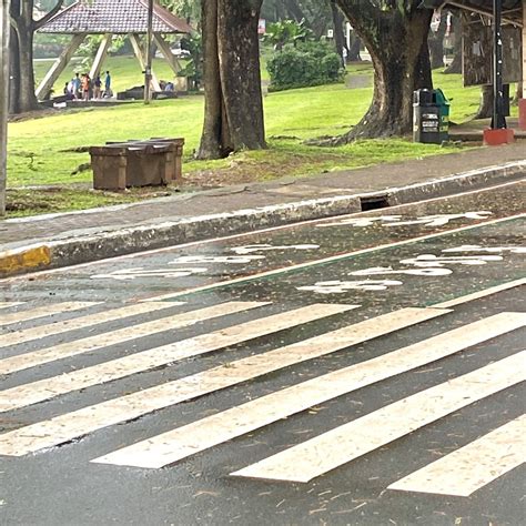 Sunken Garden Diliman Sunken Garden University Of The Philippines