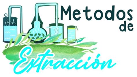 Metodos De Extraccion De Aceites Esenciales Como Obtener Aceites